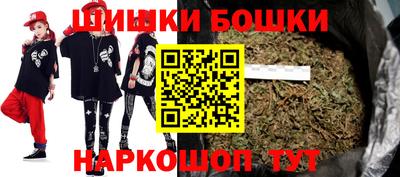 тгк Гай