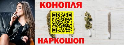 тгк Гай