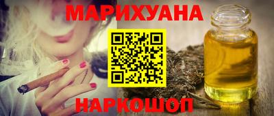 тгк Гай