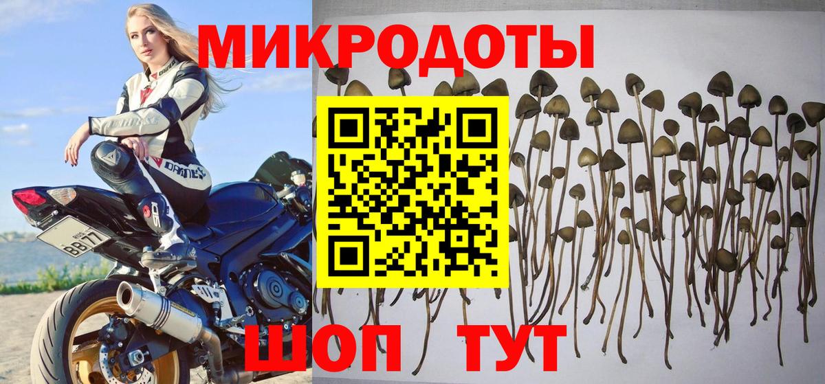 Галлюциногенные грибы мицелий Губкин