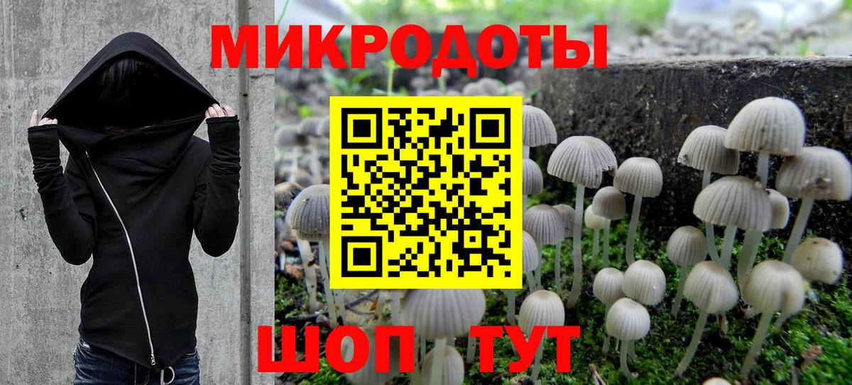 Псилоцибиновые грибы Psilocybine cubensis  Вход с VPN  Губкин 